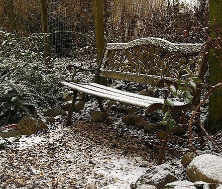 a bench snow covered in a wood