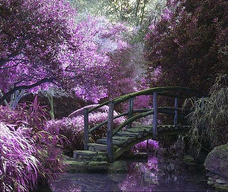 a bridge in a fairy garden covered in lilac colors