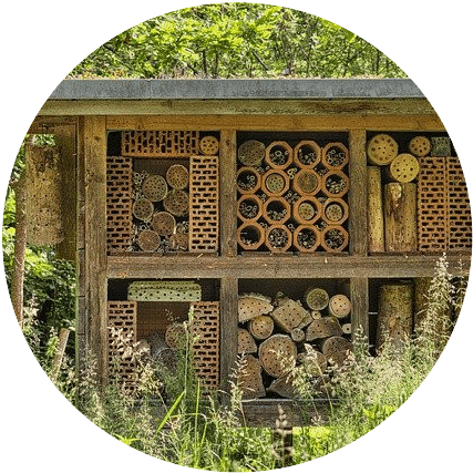 a bee hotel