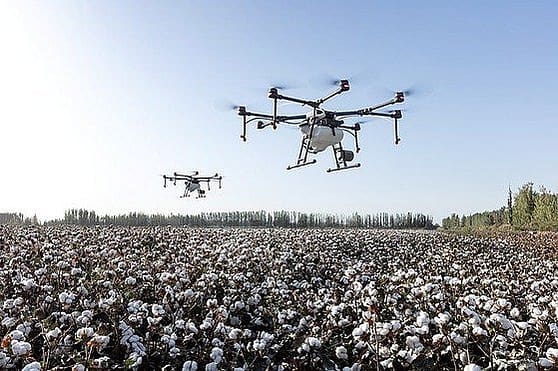 Cotton plantages treated with water or pesticides by helicopters